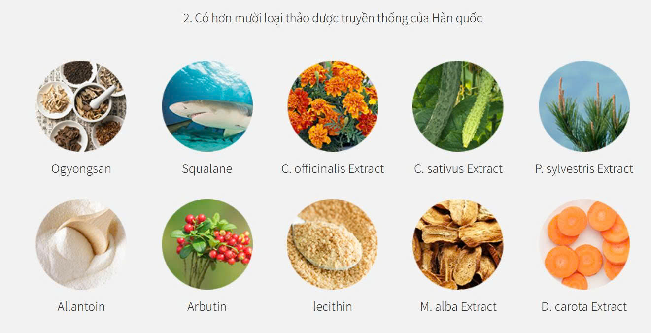 10 loại thảo dược của Soosul